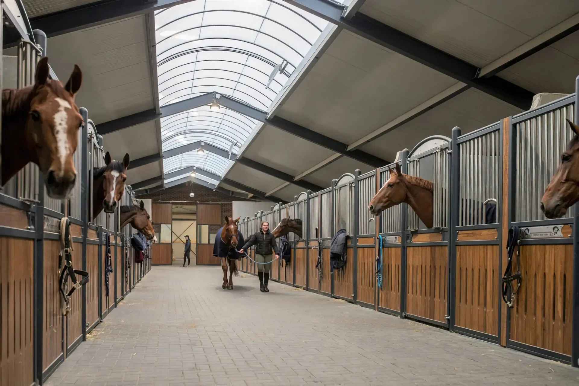 Human Capital in the Saddle: Selecting the Right Trainer and Stable Infrastructure