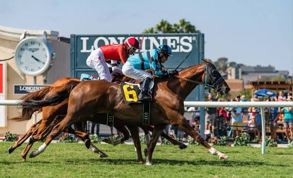 Fractional Equity: Structuring Syndicates in Racing & Sport Horse Asset Ownership